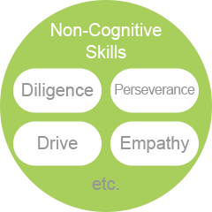 Non-Cognitive Skills Diligence Perseverance Drive Empathy etc.